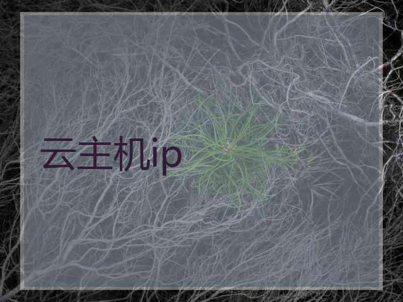 云主机ip