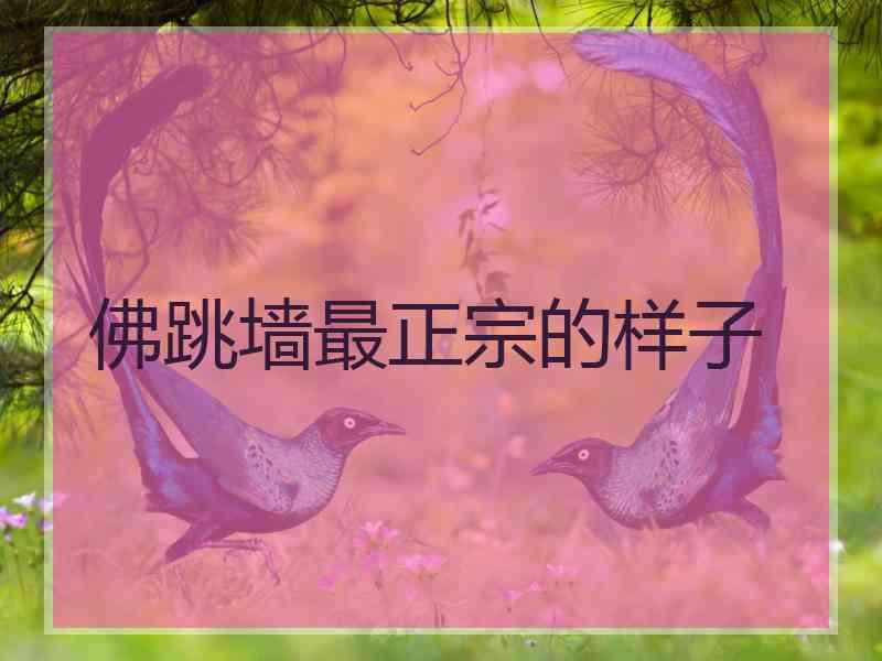 佛跳墙最正宗的样子