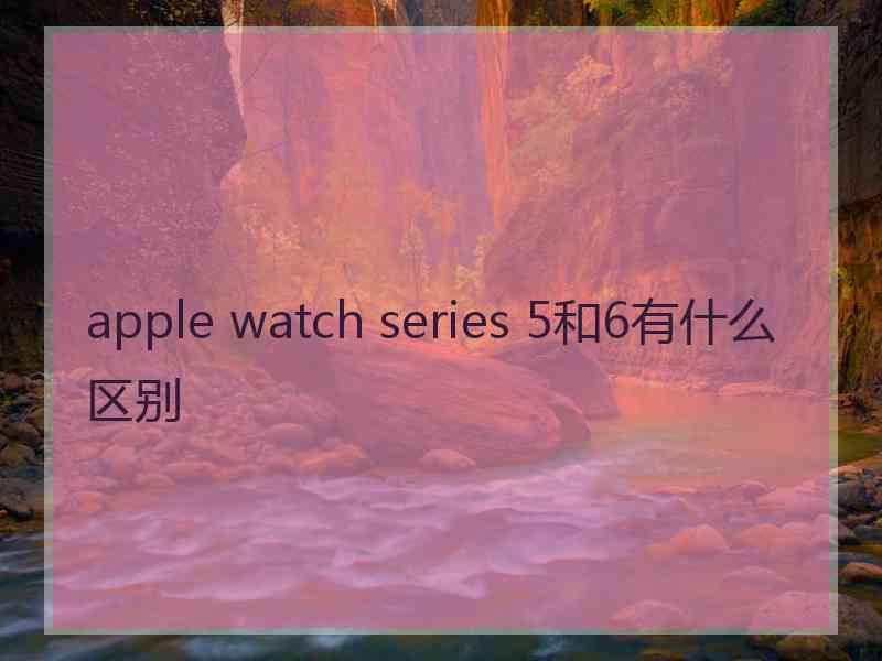 apple watch series 5和6有什么区别