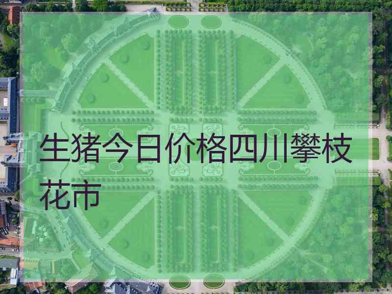生猪今日价格四川攀枝花市