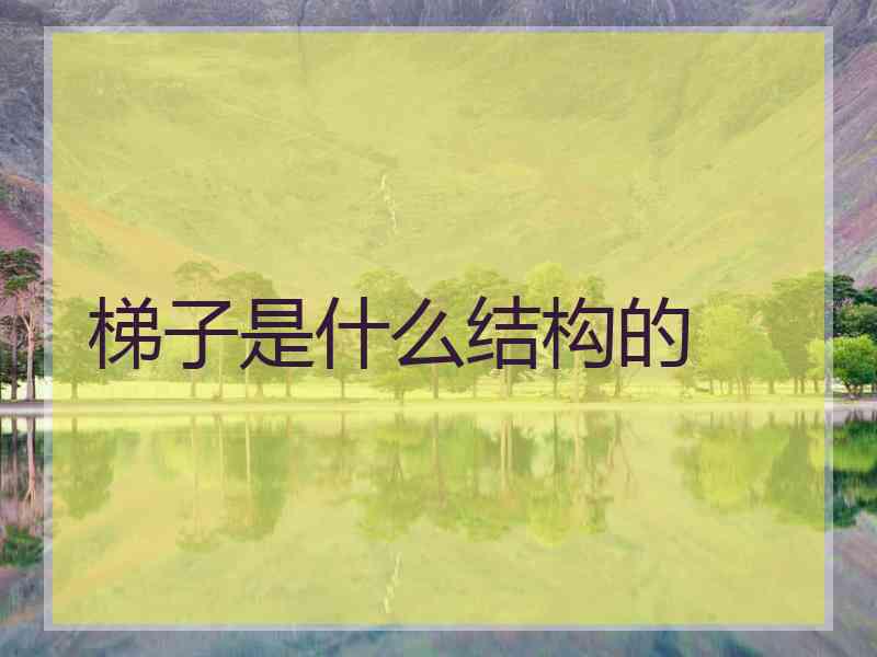 梯子是什么结构的