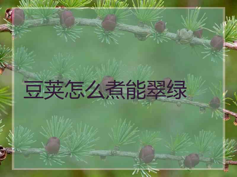 豆荚怎么煮能翠绿