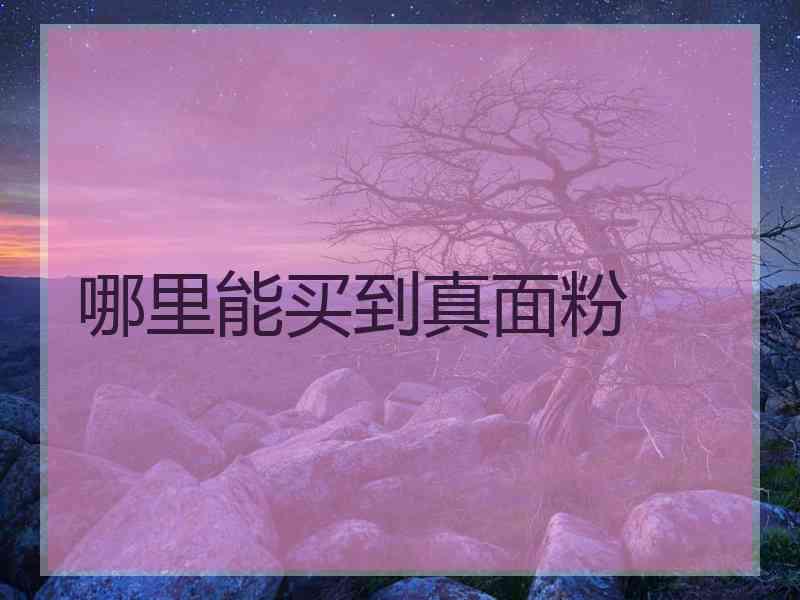 哪里能买到真面粉