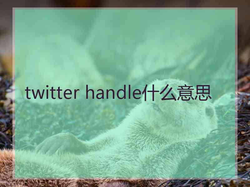 twitter handle什么意思