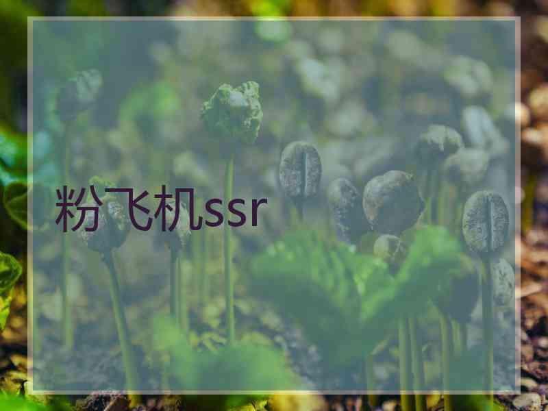 粉飞机ssr