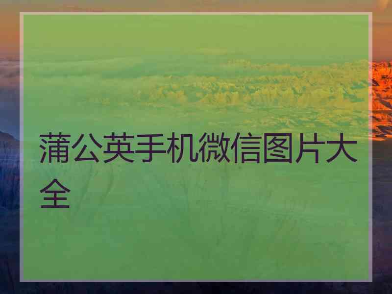 蒲公英手机微信图片大全