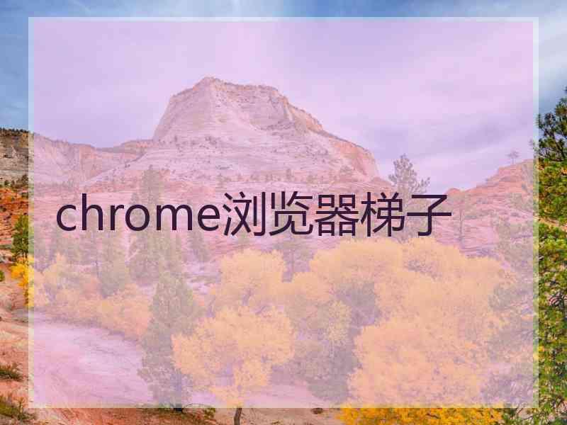 chrome浏览器梯子