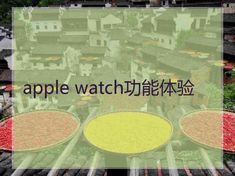 apple watch功能体验