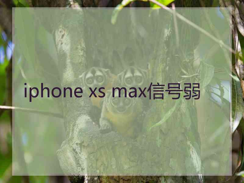iphone xs max信号弱