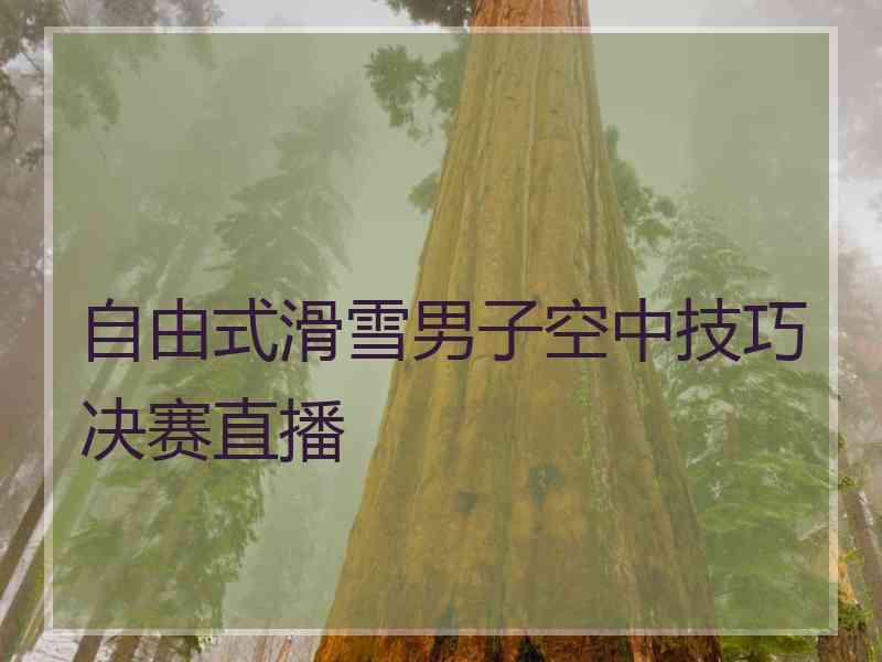 自由式滑雪男子空中技巧决赛直播