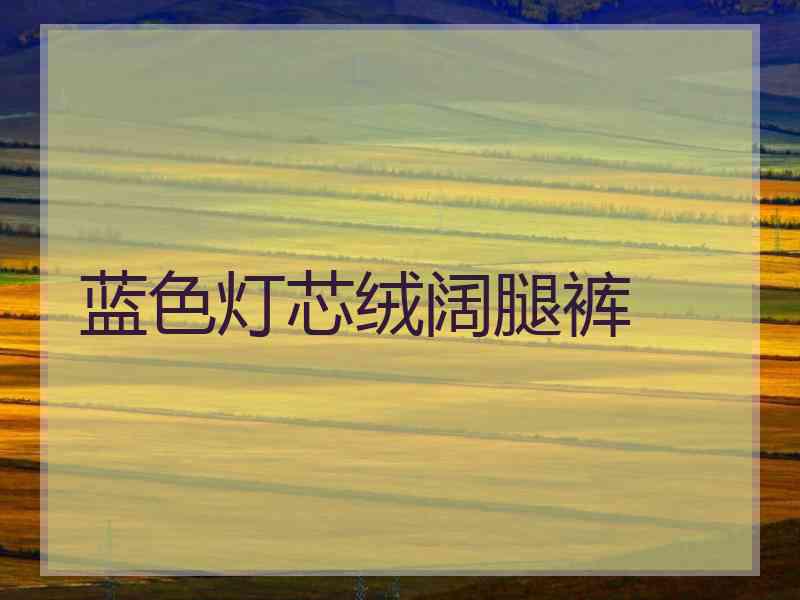 蓝色灯芯绒阔腿裤