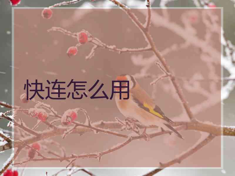快连怎么用