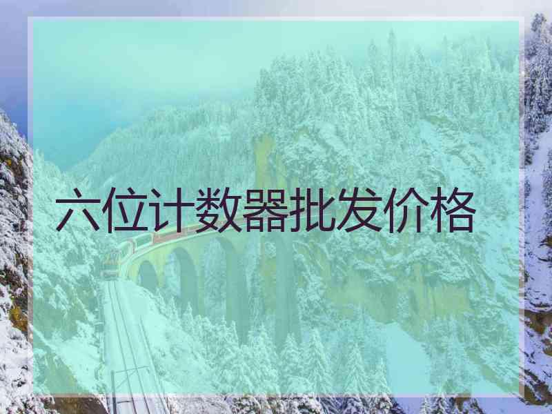 六位计数器批发价格