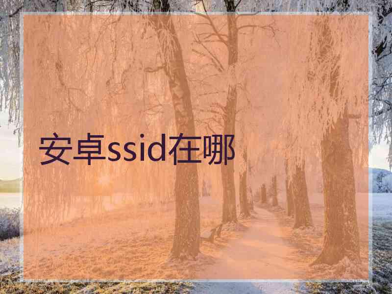 安卓ssid在哪