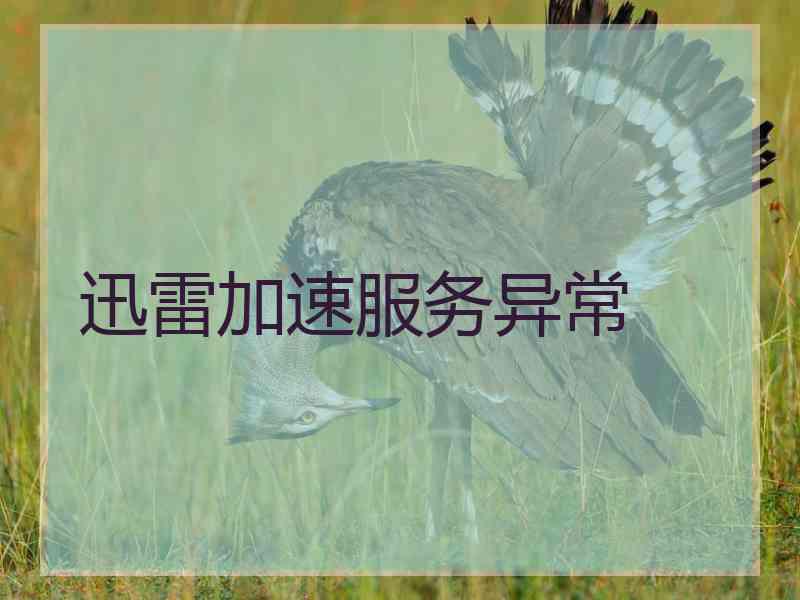 迅雷加速服务异常