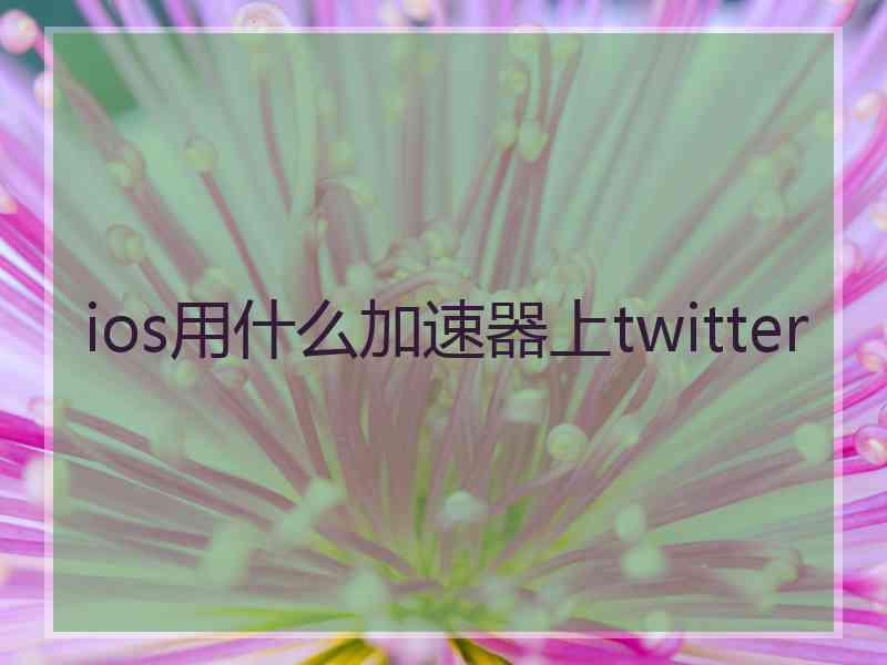 ios用什么加速器上twitter