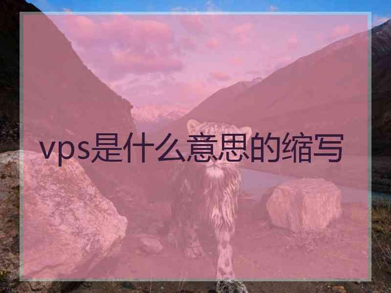 vps是什么意思的缩写