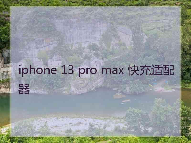 iphone 13 pro max 快充适配器