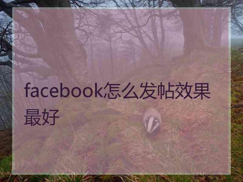 facebook怎么发帖效果最好