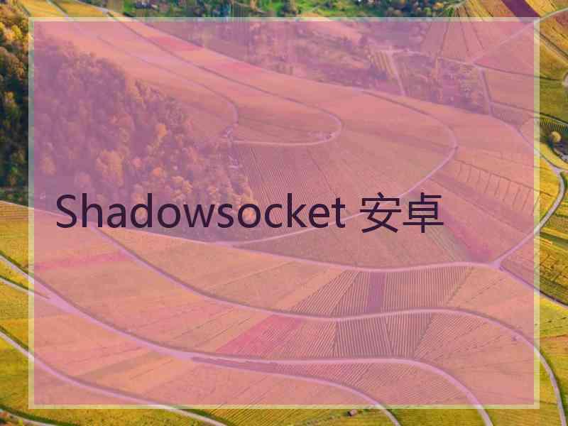Shadowsocket 安卓