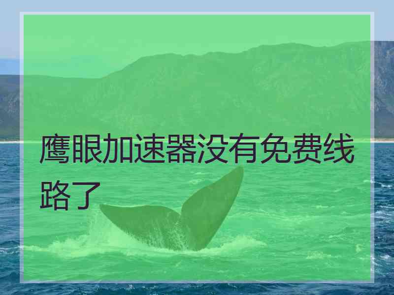 鹰眼加速器没有免费线路了