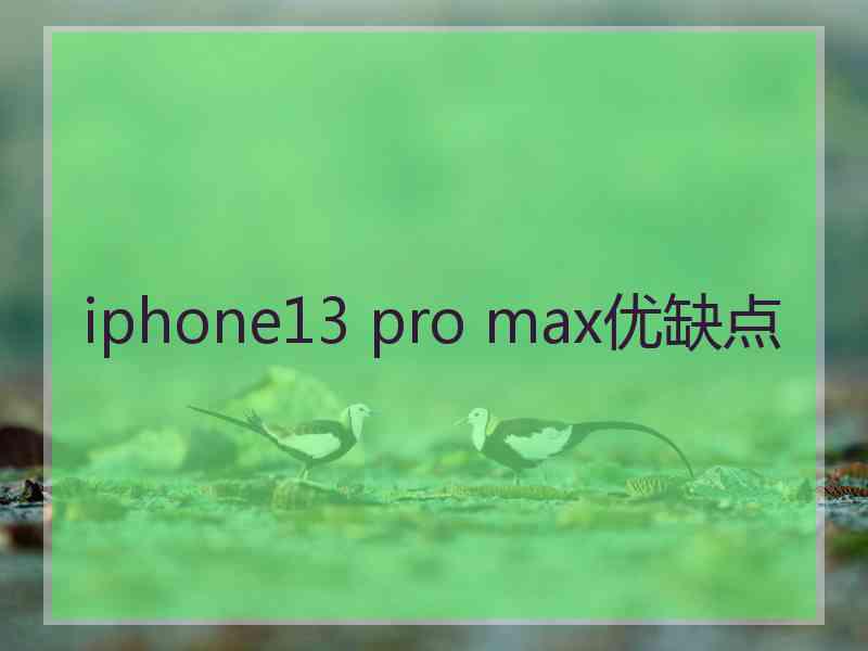 iphone13 pro max优缺点