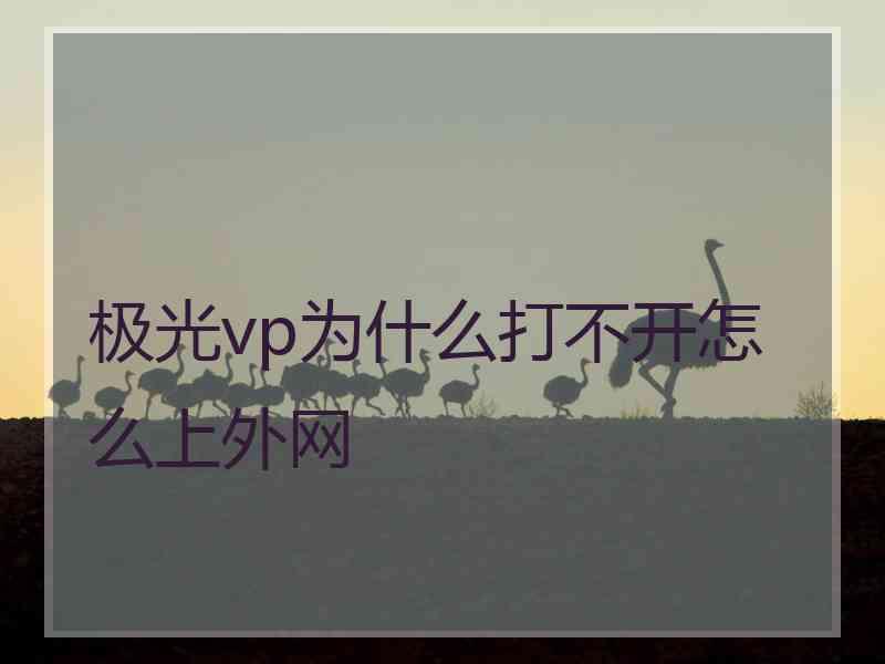 极光vp为什么打不开怎么上外网