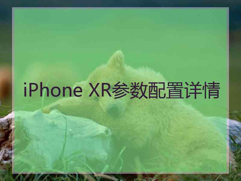 iPhone XR参数配置详情