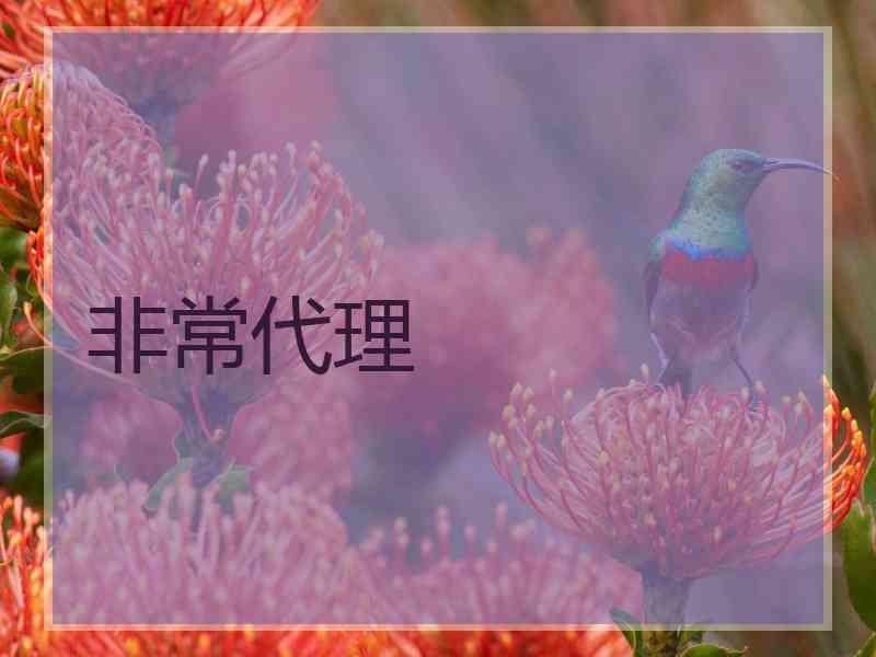 非常代理