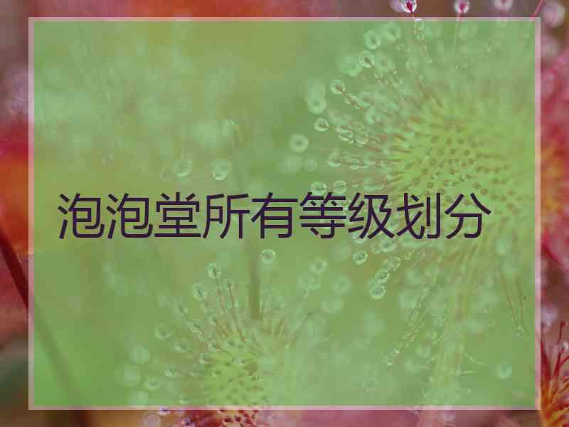 泡泡堂所有等级划分
