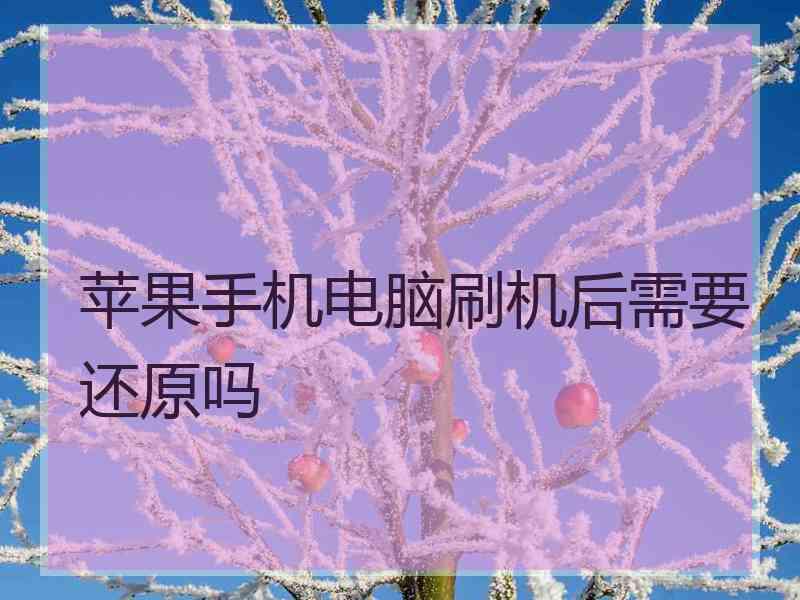 苹果手机电脑刷机后需要还原吗