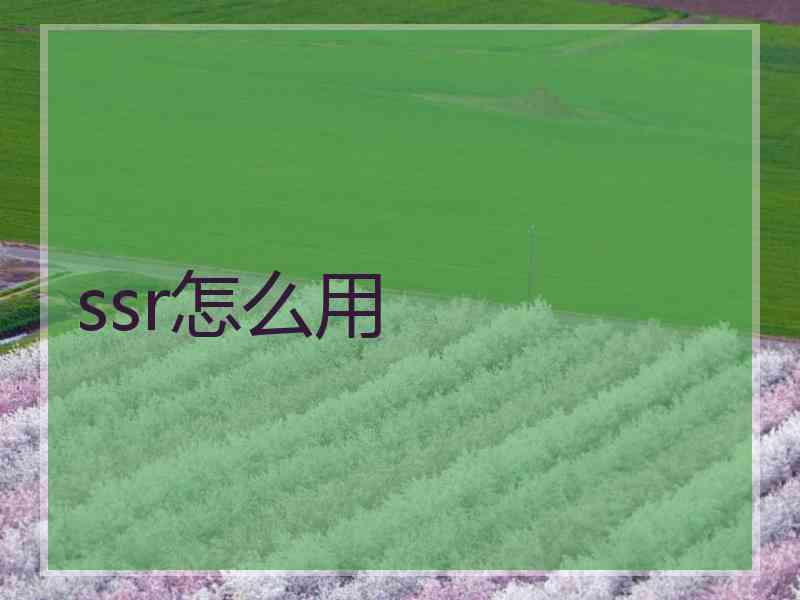 ssr怎么用