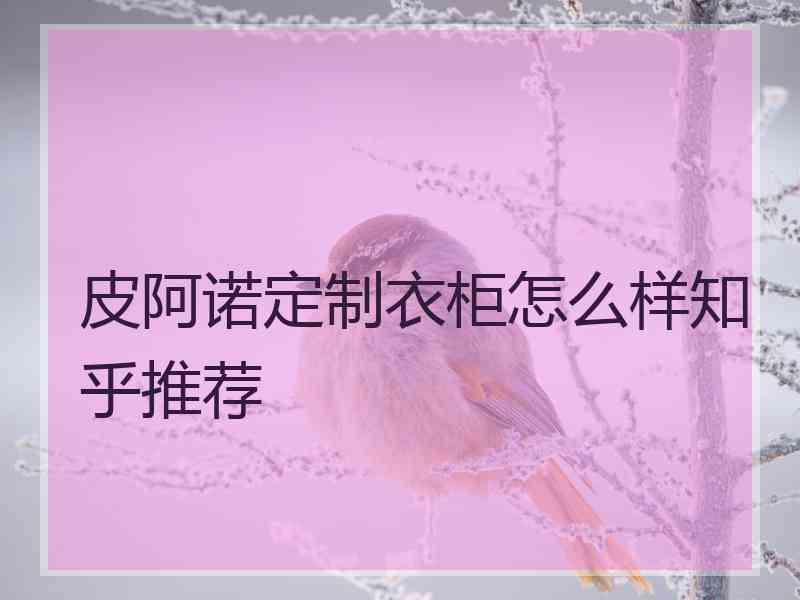 皮阿诺定制衣柜怎么样知乎推荐