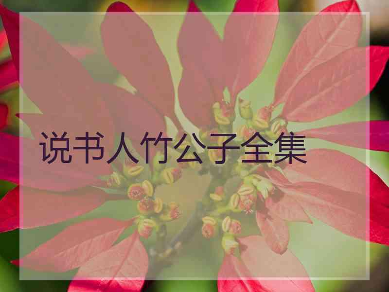说书人竹公子全集