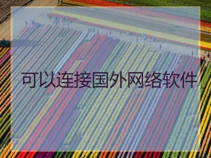 可以连接国外网络软件