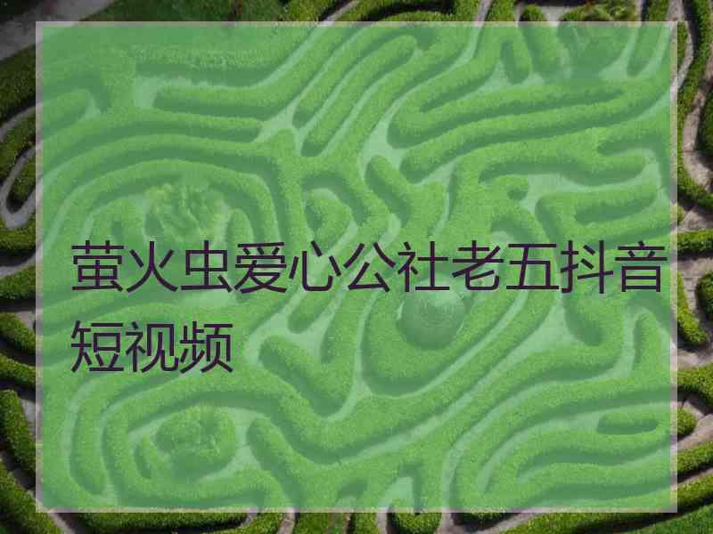 萤火虫爱心公社老五抖音短视频
