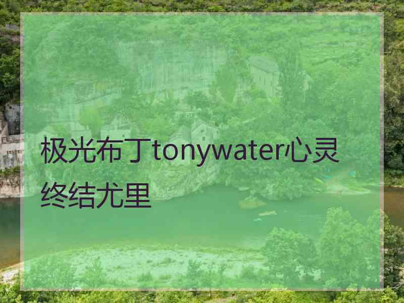 极光布丁tonywater心灵终结尤里