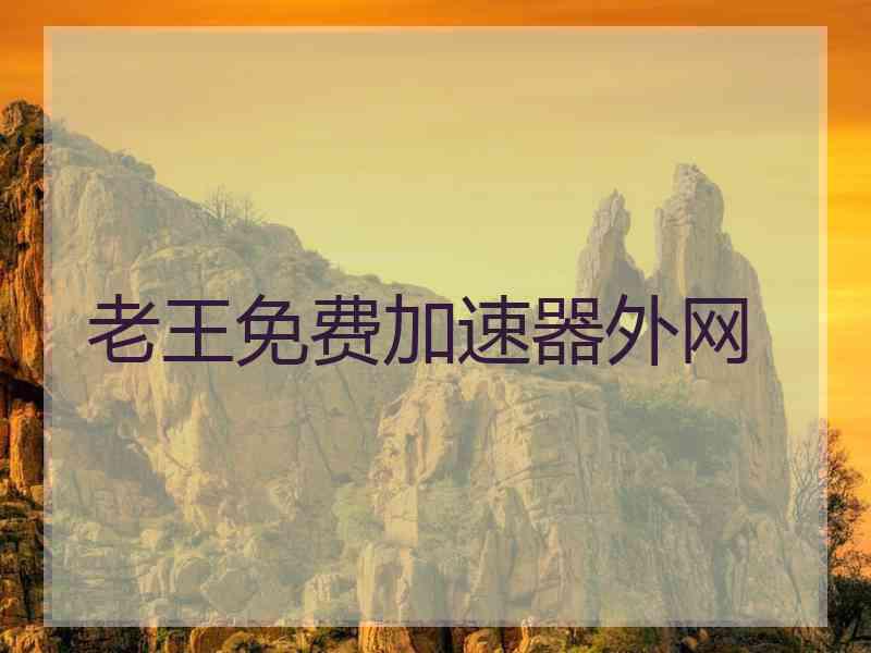 老王免费加速器外网