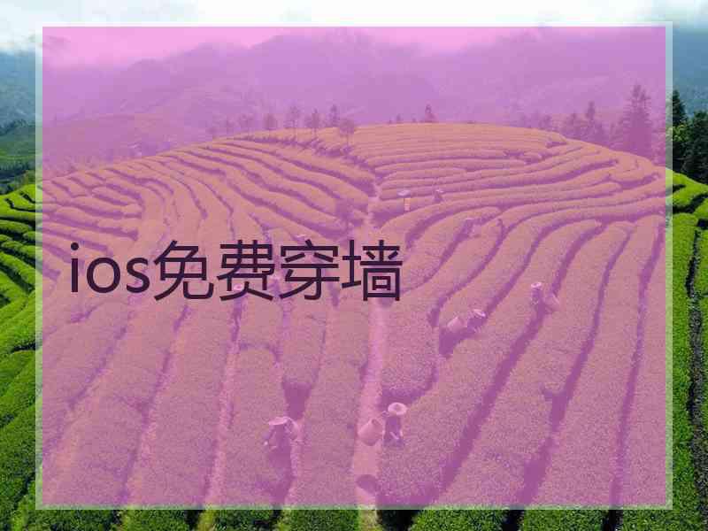 ios免费穿墙