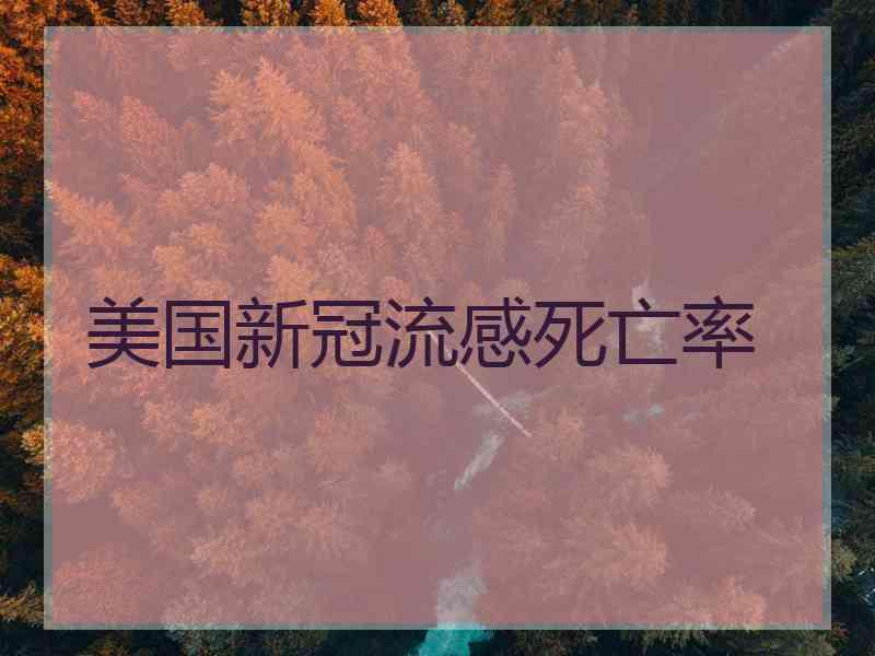 美国新冠流感死亡率