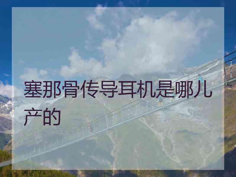 塞那骨传导耳机是哪儿产的