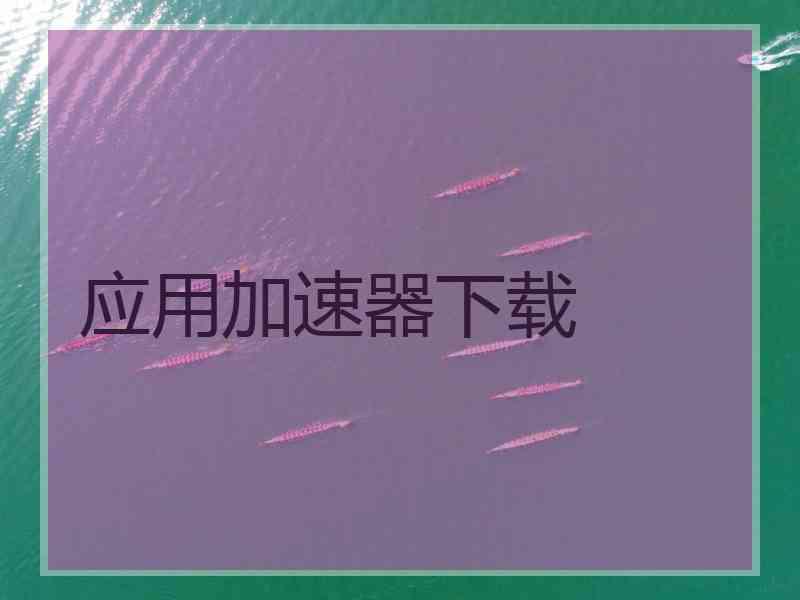 应用加速器下载