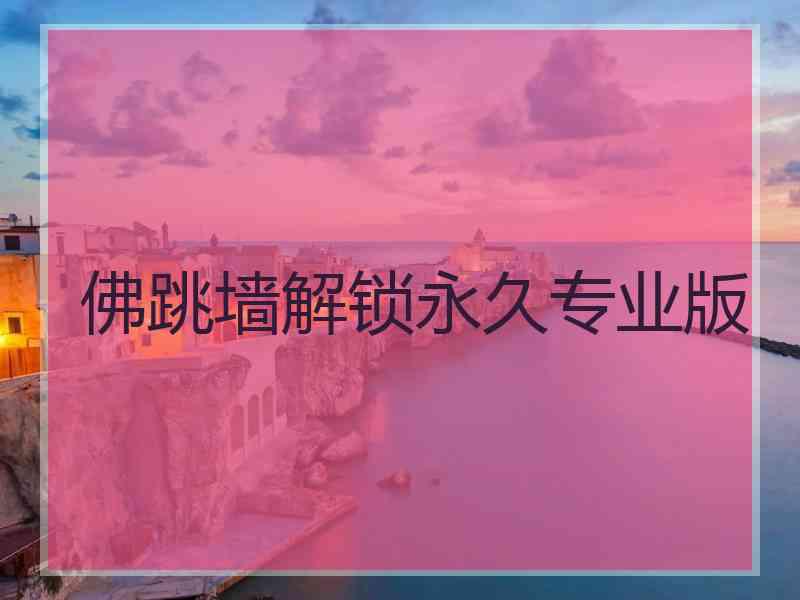 佛跳墙解锁永久专业版