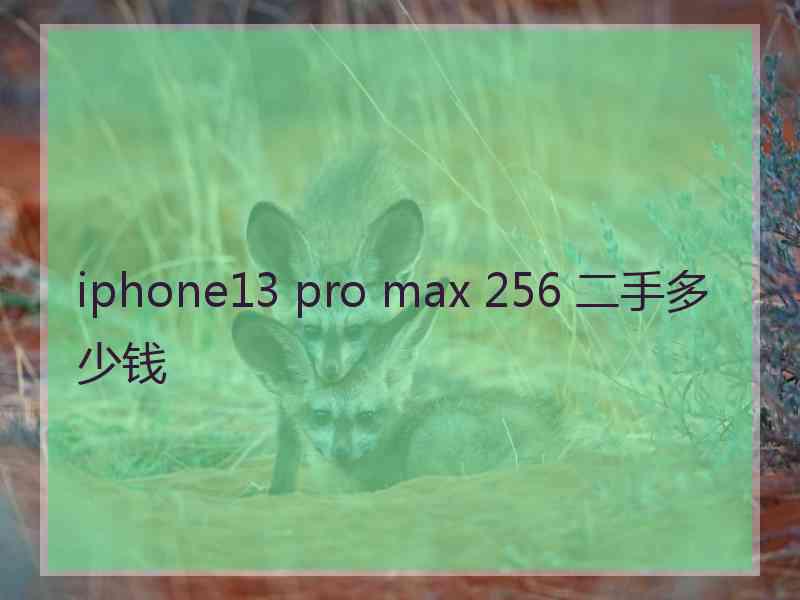 iphone13 pro max 256 二手多少钱