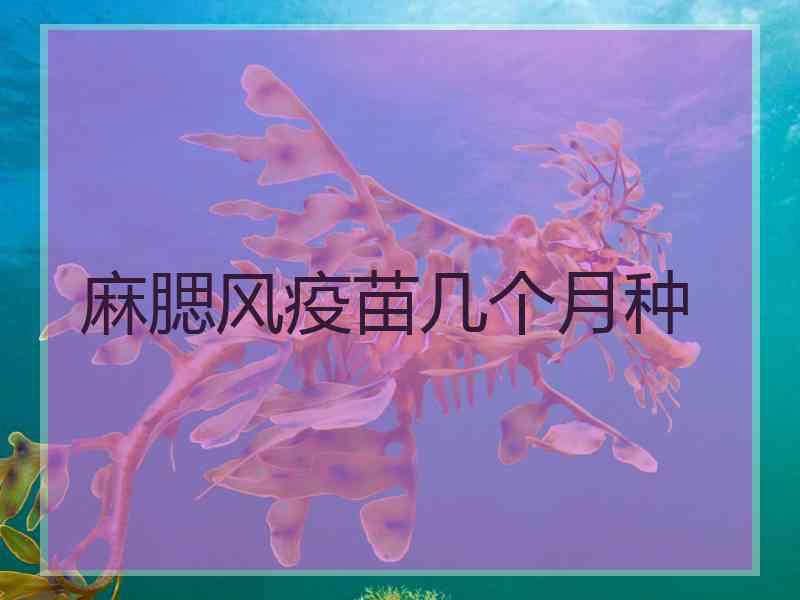 麻腮风疫苗几个月种