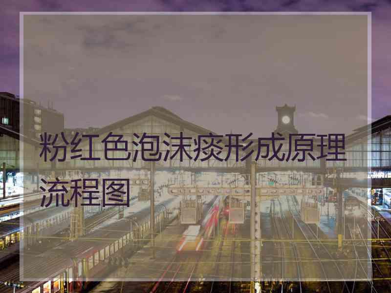 粉红色泡沫痰形成原理流程图