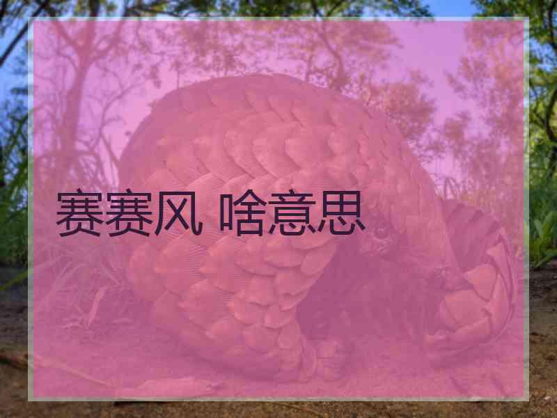 赛赛风 啥意思