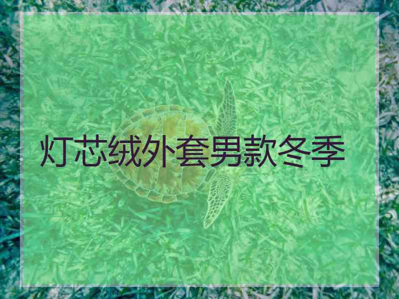 灯芯绒外套男款冬季