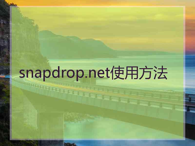 snapdrop.net使用方法