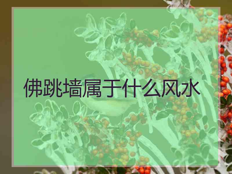 佛跳墙属于什么风水